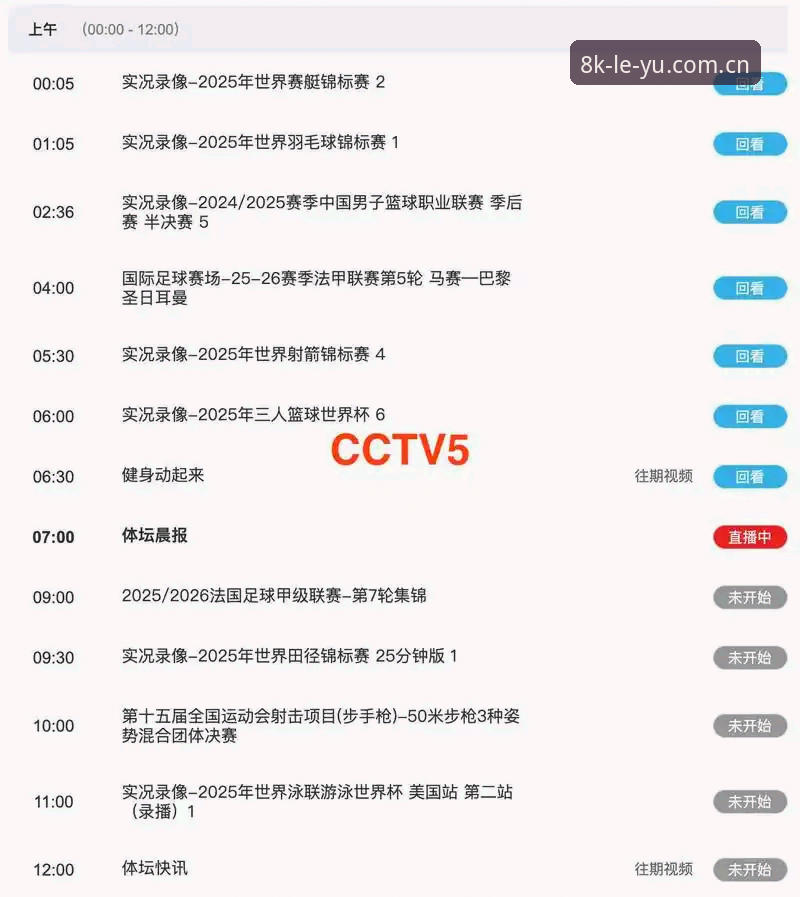 为什么这场体育直播总在关键时刻卡顿？——一份关于“每一刻都流畅新篇APP下载地址”的真实记录
